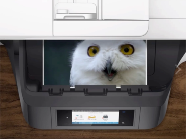 HP Social Content: Commercial Printers